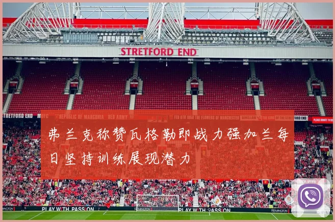 弗兰克称赞瓦格勒即战力强加兰每日坚持训练展现潜力
